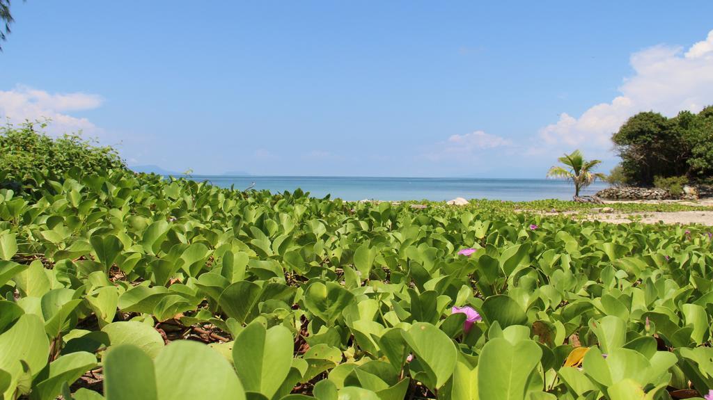 River Hotel Ha Tien Dış mekan fotoğraf